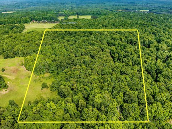 Zimmerman Road, Beulah, MI 49617