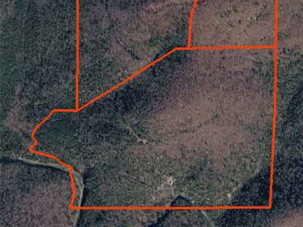 001-00542-000 - Tract 1 Mallard Terrace , Yellville, AR 72687