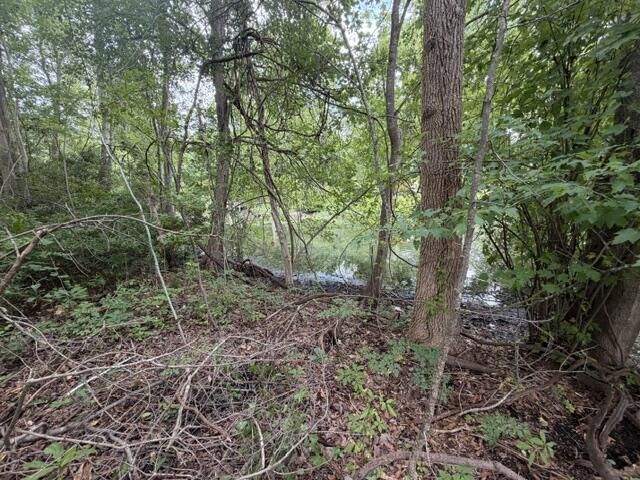 Tbd Lakewood Drive Photo 4