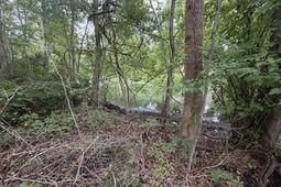 Tbd Lakewood Drive photo 4