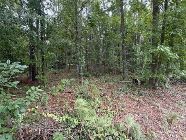 Tbd Lakewood Drive Photo 5