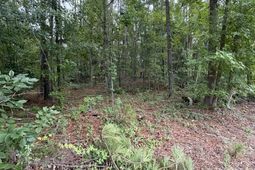 Tbd Lakewood Drive photo 4
