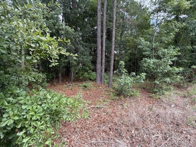 Tbd Lakewood Drive Photo 6