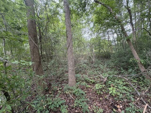 Tbd Lakewood Drive Photo 7