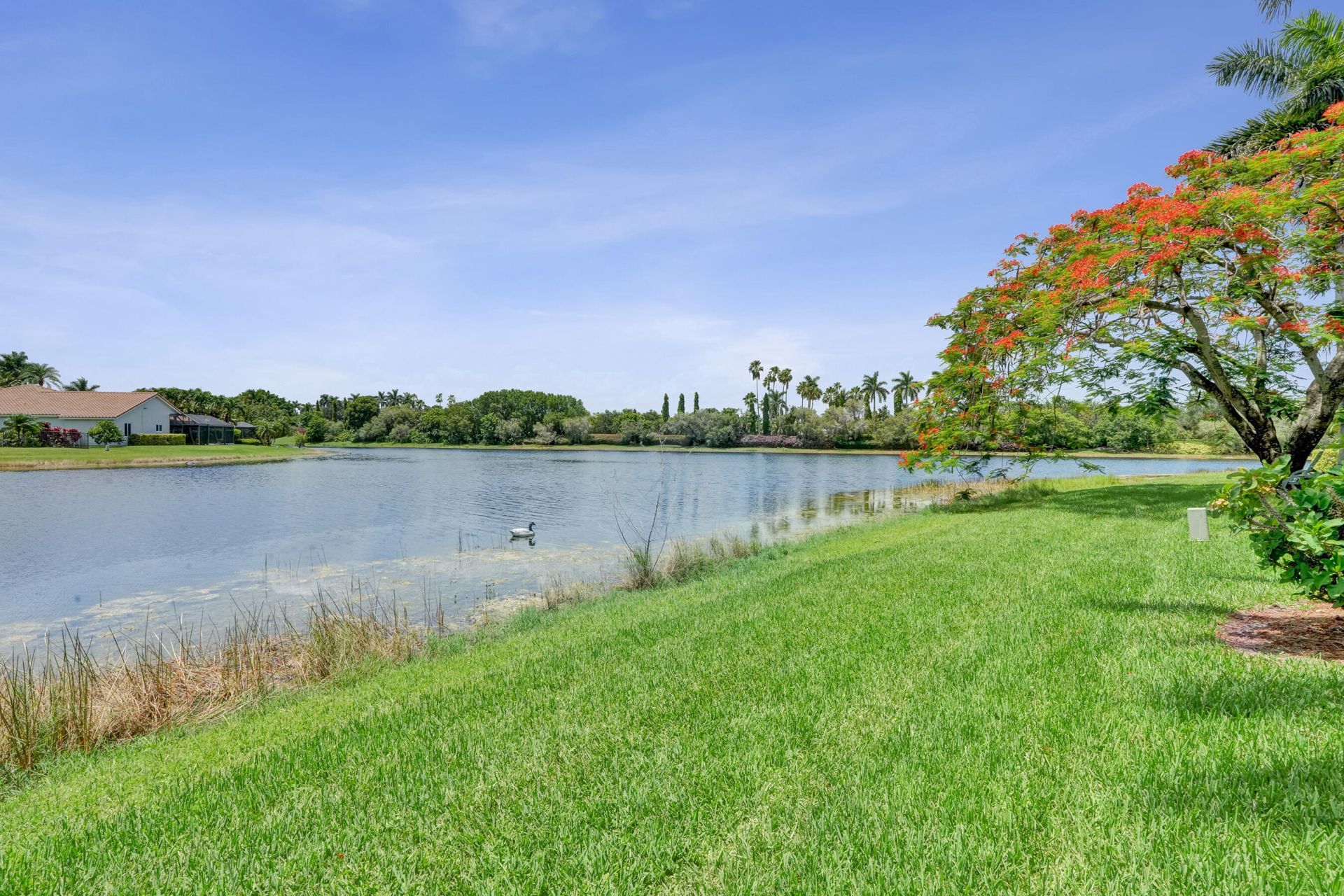 1163 Camellia Circle, Weston, FL 33326 Photo