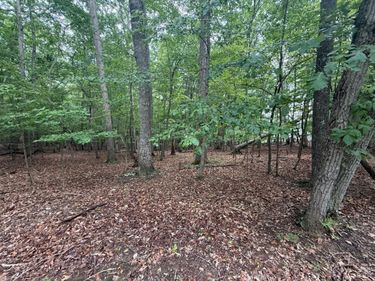 17 Saunders Point Road, Huddleston, VA 24104
