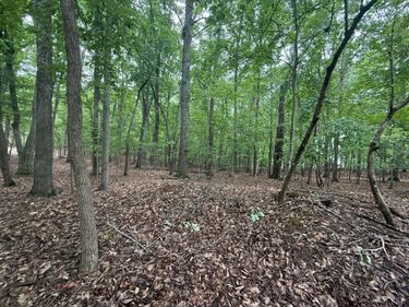 18 Saunders Point Road, Huddleston, VA 24104