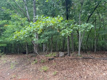 24 Lee Drive, Huddleston, VA 24104