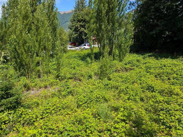 172 South Shore Rd , Lake Cowichan, BC V0R 2G0