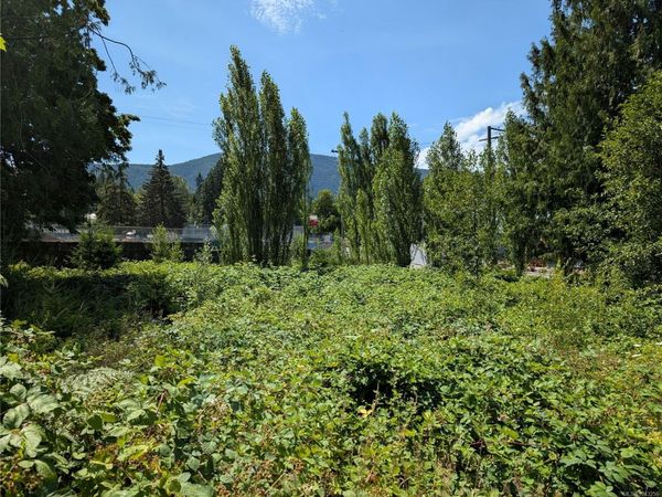 96 Cowichan Ave , Lake Cowichan, BC V0R 2G0