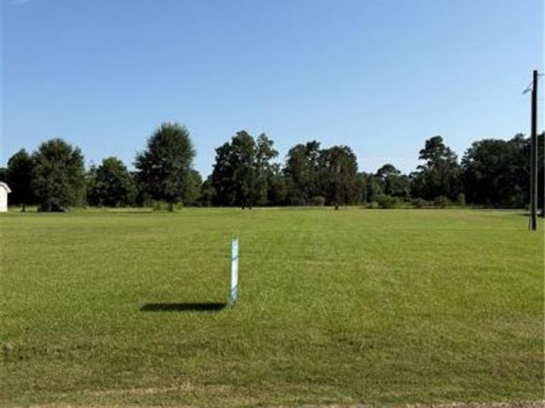 29636 PROKOP Road , Albany, LA 70711