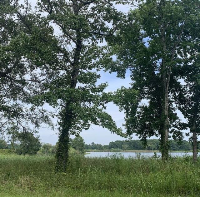 45.22 Ac Atlantic Breeze Dr. Photo 4