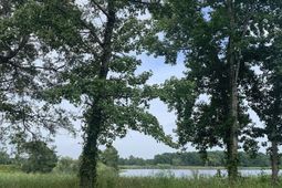 45.22 Ac Atlantic Breeze Dr. photo 4
