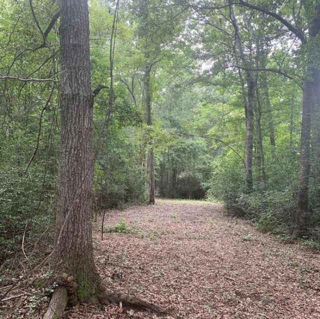 45.22 Ac Atlantic Breeze Dr. Photo 5