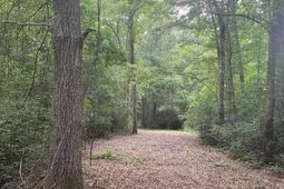 45.22 Ac Atlantic Breeze Dr. photo 4