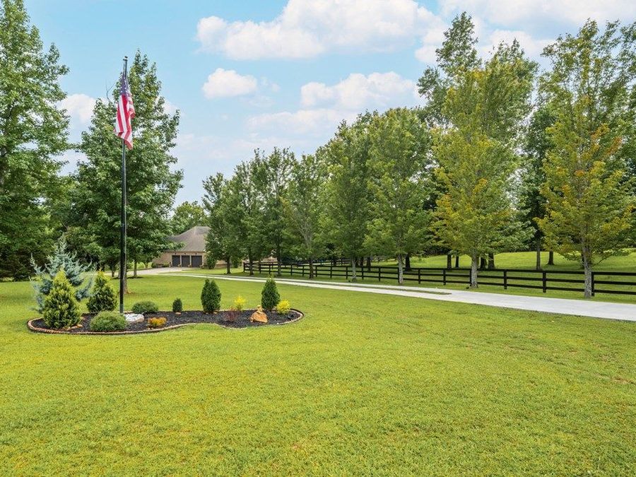 Property Image 91