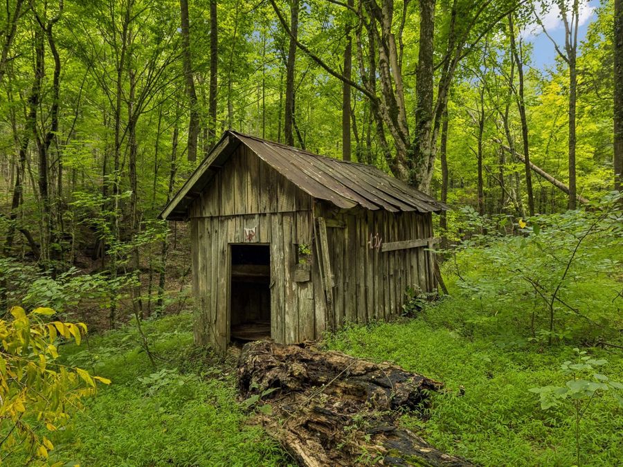 Property Image 8