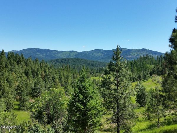 20 Acres S Starr Rd , Rockford, WA 99030