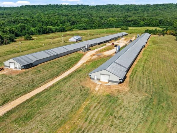 17117 Dutch Mills Road South , Lincoln, AR 72744