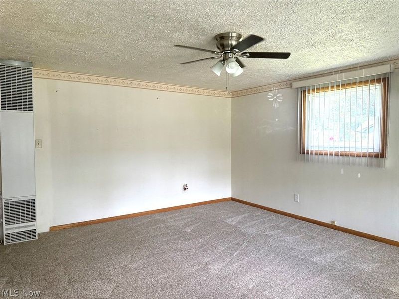 133 Carter Street, Creston, OH 44217 Photo 14