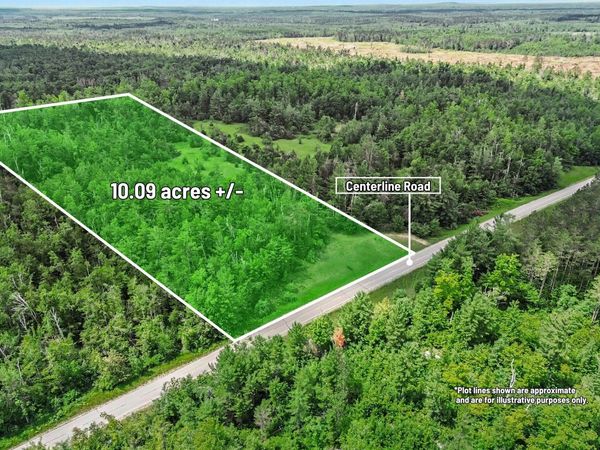 VL -B- Centerline Road, Mio, MI 48647