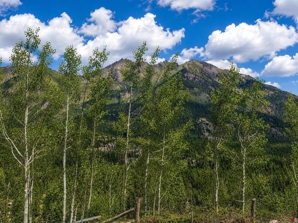 83 Long Story Road, Durango, CO 81301