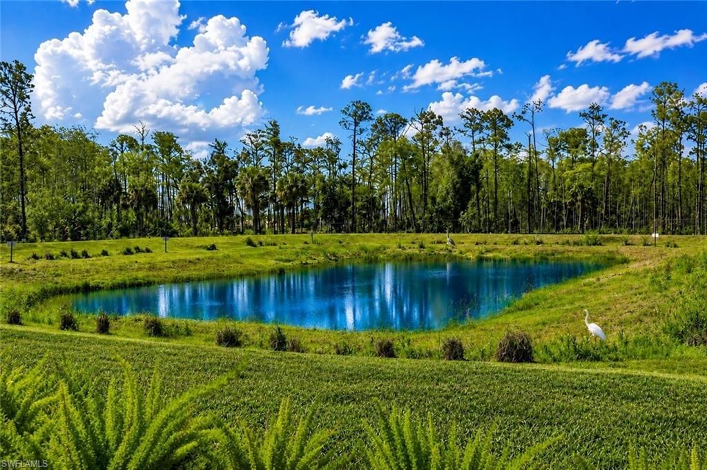 2626 Seychelles Cir, Unit 1404, Naples, FL 34112 Photo