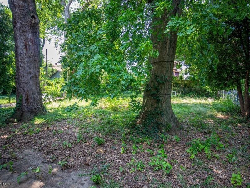 1290 E 188th Street, Cleveland, OH 44110 Photo 5