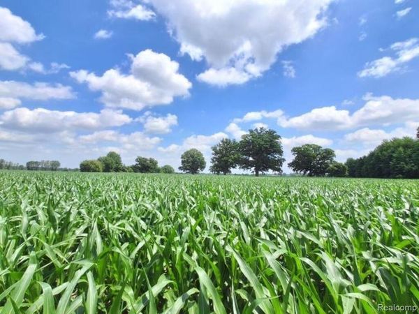 AUCTION Lot #1 - Parcel A Capac and Dryden Road , Berlin Twp, MI 48014