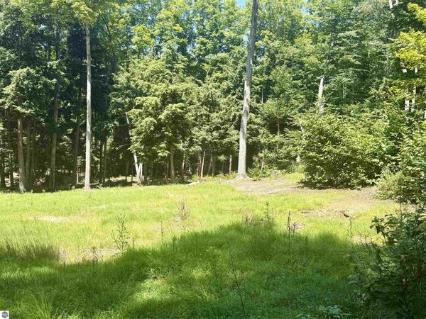 1364 Maplewing Drive E, Cedar, MI 49621