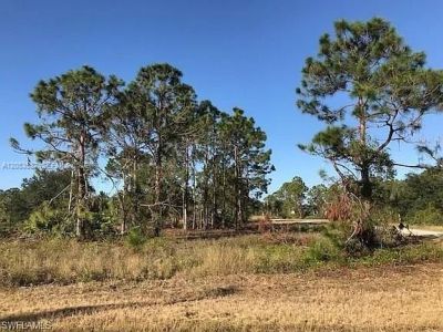 726 S Gaylord Avenue, Lehigh Acres, FL 33974 Photo