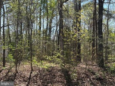 411 POCAHONTAS DRIVE , RUTHER GLEN, VA 22546