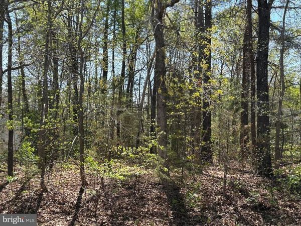 411 POCAHONTAS DRIVE , RUTHER GLEN, VA 22546