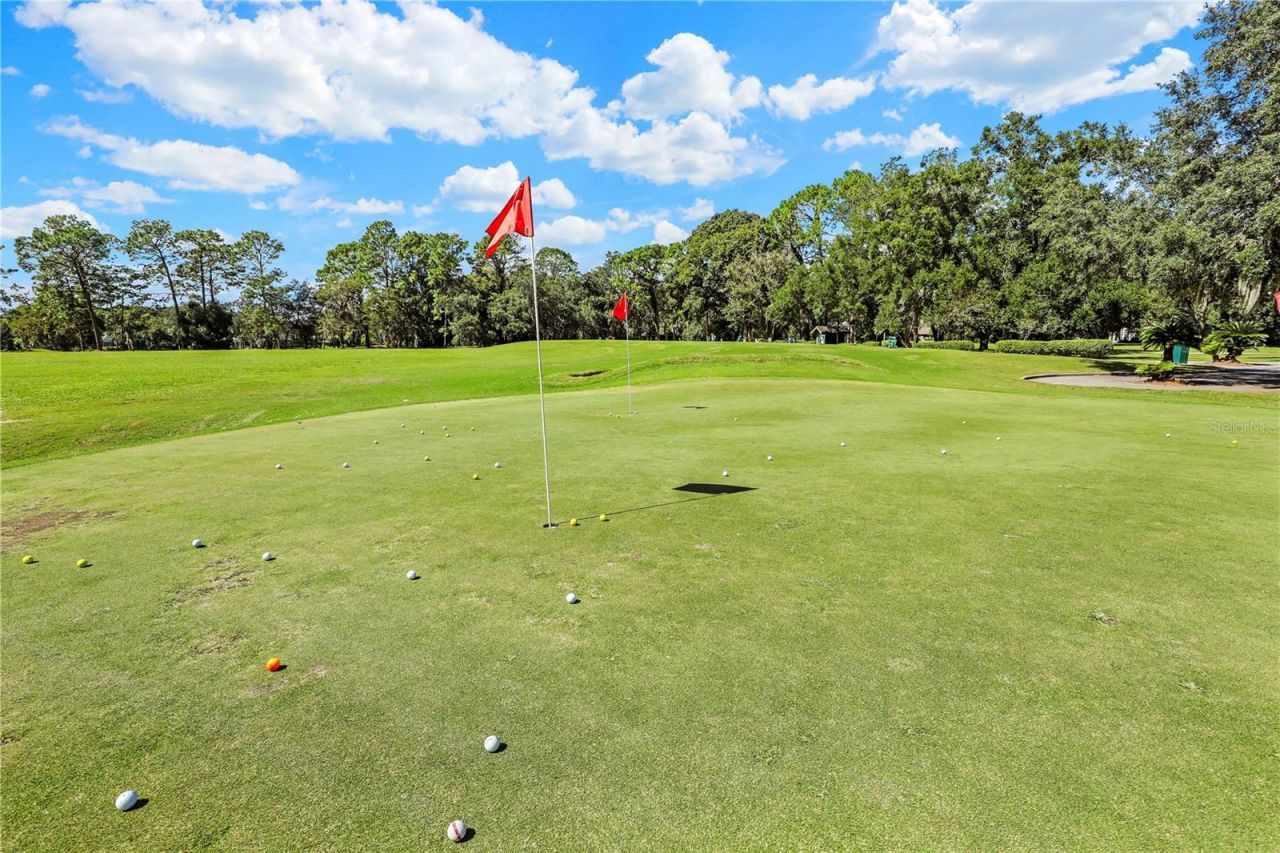 3729 Constancia Drive , Green Cove Springs, FL 32043 Photo