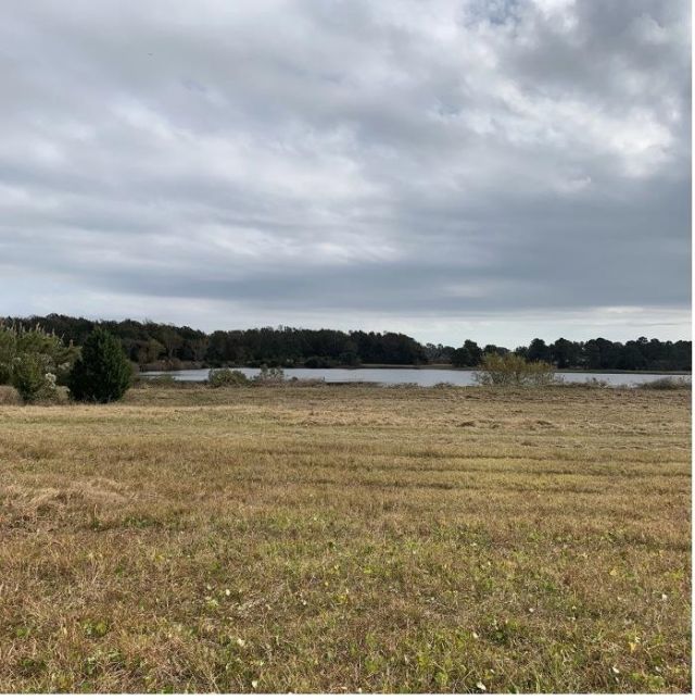 44.25 Ac Old Sanders Dr. Photo 8