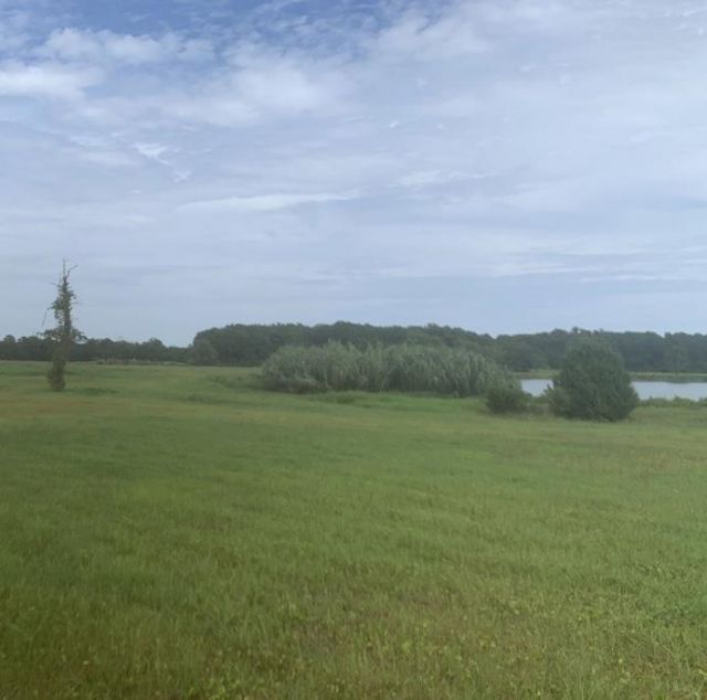 44.25 Ac Old Sanders Dr. Photo 9