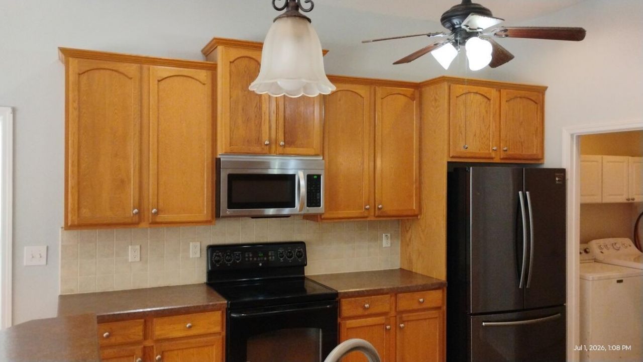 235 Sweet Alyssum Drive Drive Photo 9