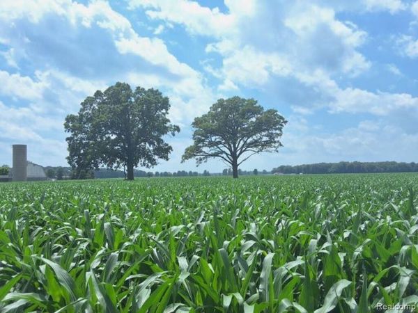 AUCTION Lot # 2 10 acres Dryden Road, Berlin Twp, MI 48014