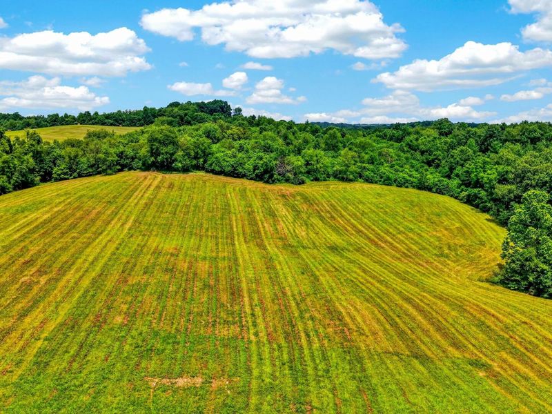 61829 U.S. Hwy 50, McArthur, OH 45651 Photo 8