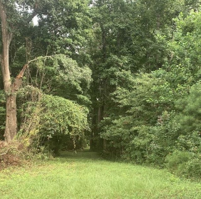 28.53 Ac Old Sanders Dr. Photo 6