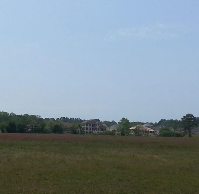 28.53 Ac Old Sanders Dr. Photo 7