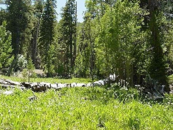 Deer, Mount Charleston, NV 89124
