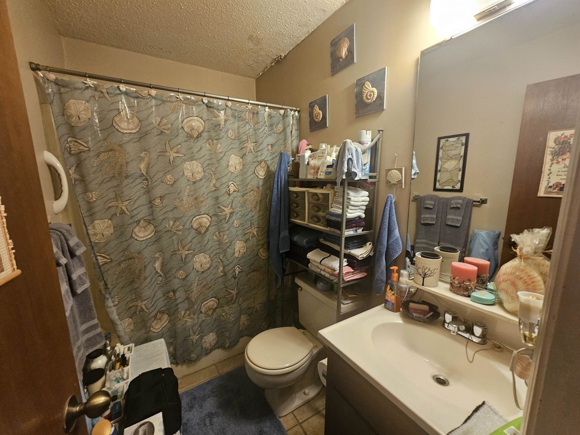 3700 Golf Colony Lane  Photo 8