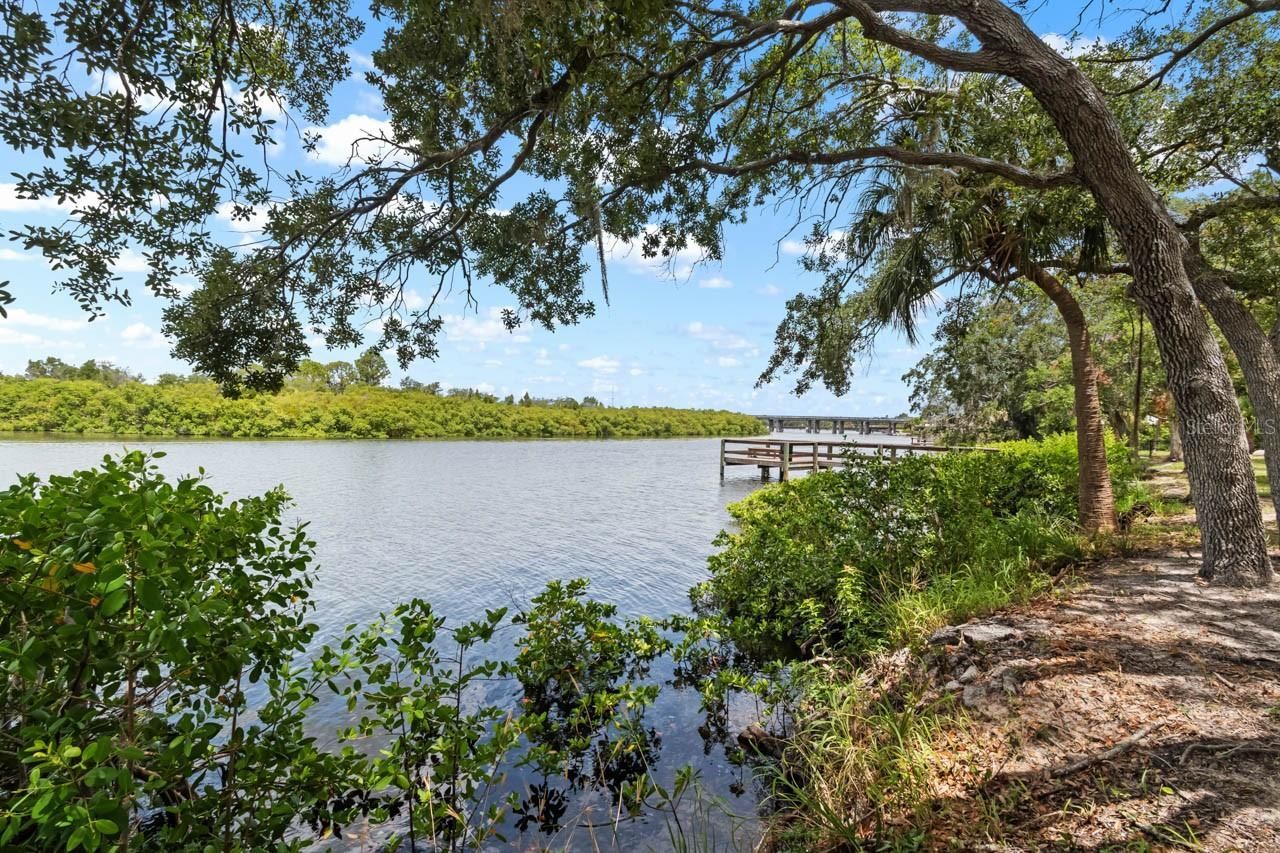 809 Timeless Moss Drive , Ruskin, FL 33570 Photo
