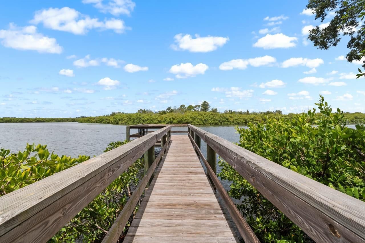 809 Timeless Moss Drive , Ruskin, FL 33570 Photo