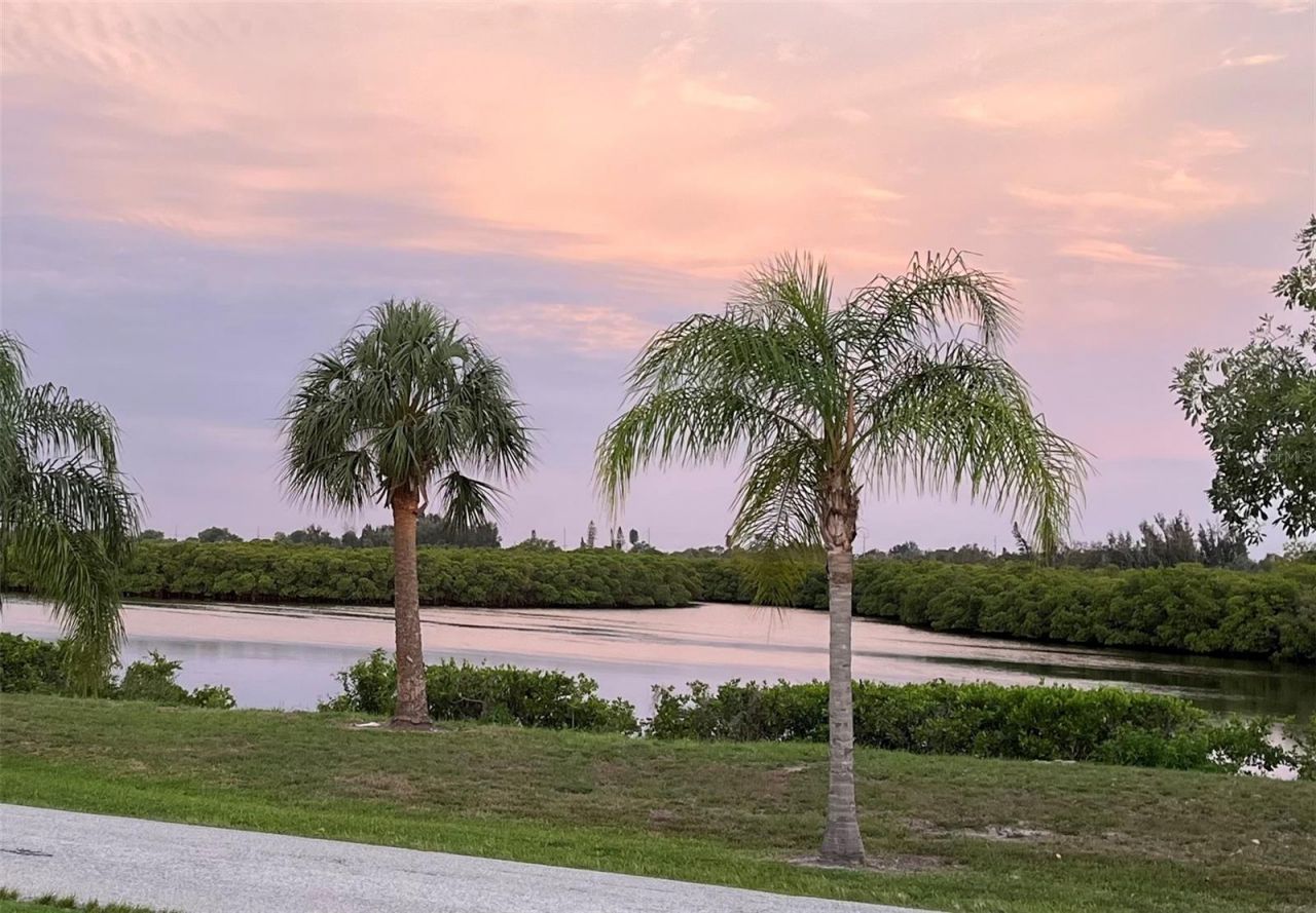 809 Timeless Moss Drive , Ruskin, FL 33570 Photo