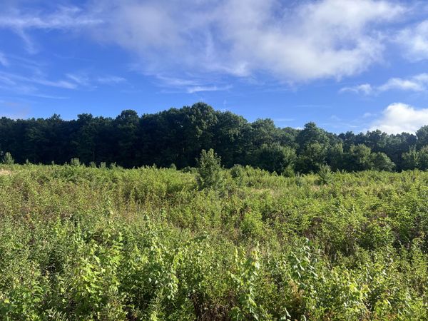 1162 Taylors Chapel Rd , Crossville, TN 38572