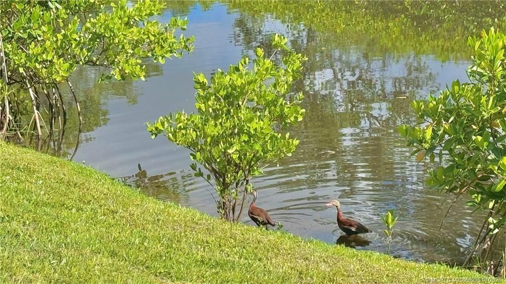 322 SW Indian Groves Drive , Stuart, FL 34994 Photo