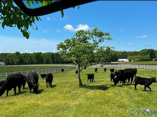 19609 & 19605 White Oak Road , Sutherland, VA 23885