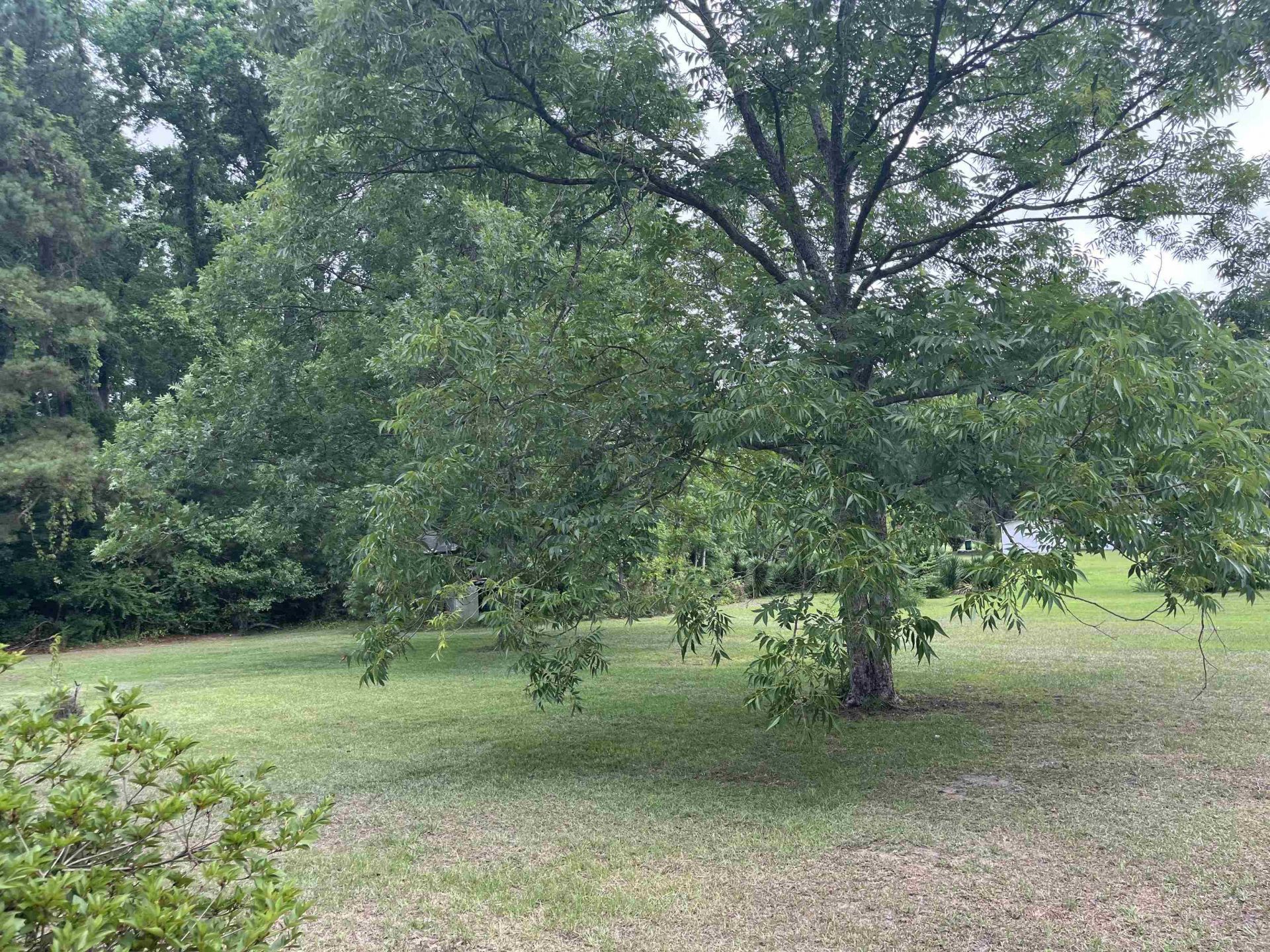 908 Martin Luther King Dr.  Photo 19